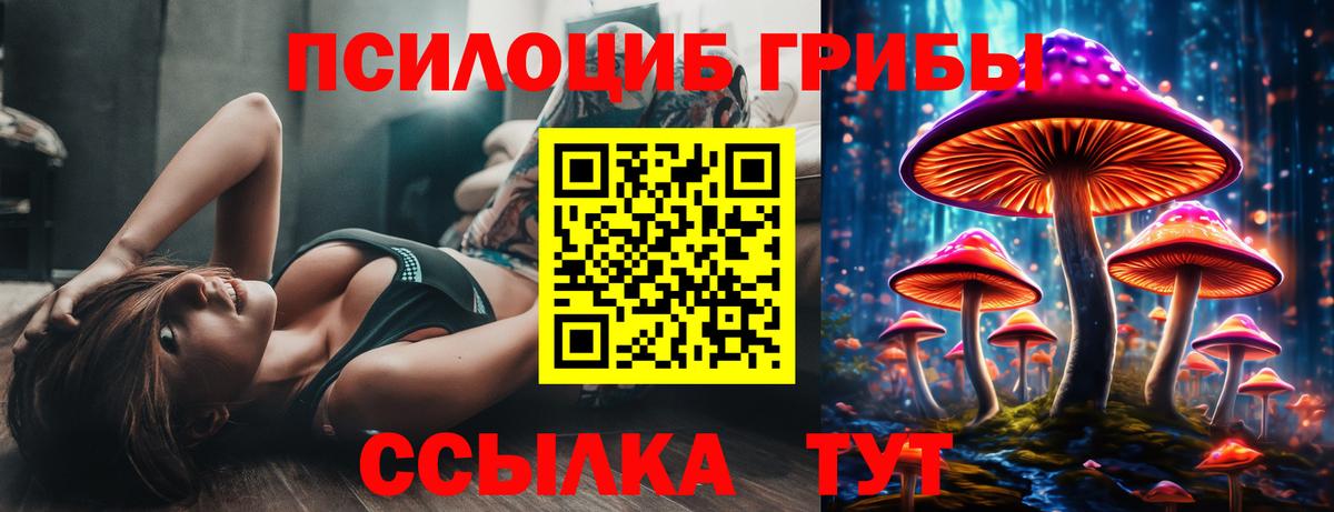 Гулькевичи  Галлюциногенные грибы Magic Shrooms  Вход с VPN 